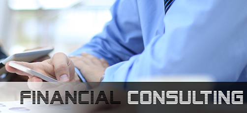 Financial Consulting